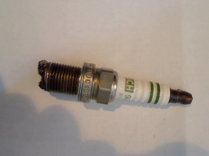 Picture 10.jpg