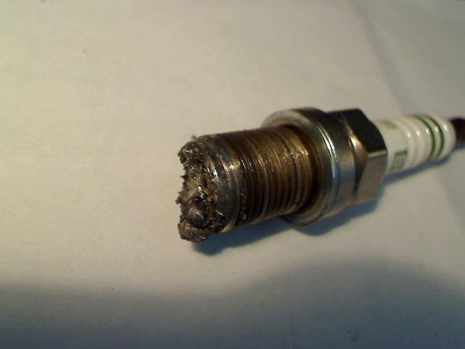 Picture 14.jpg