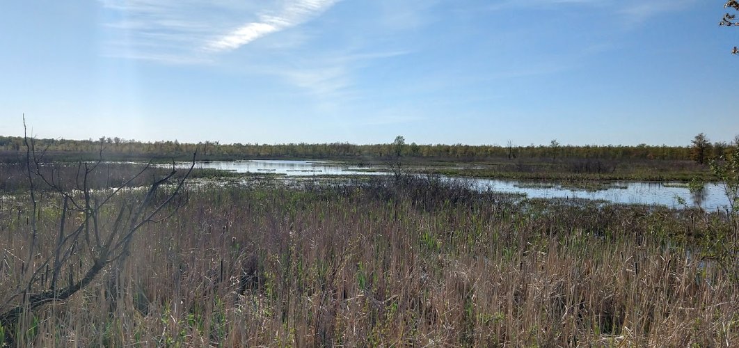 OswegoWetlands.jpg