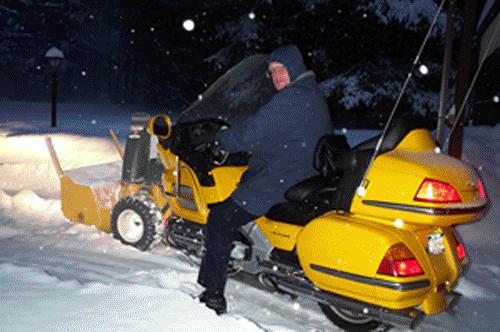 Gold wing in snow.gif