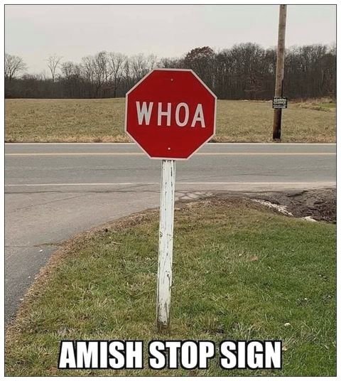 Amish.jpg