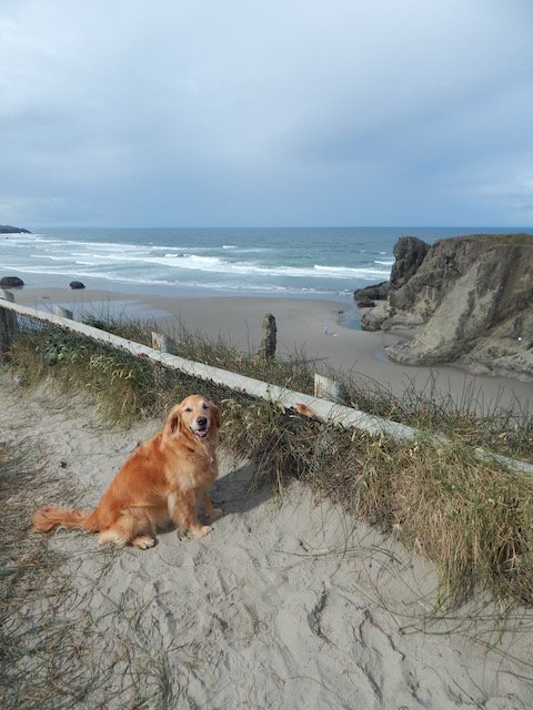 DSCN1991_BandonOR.jpeg