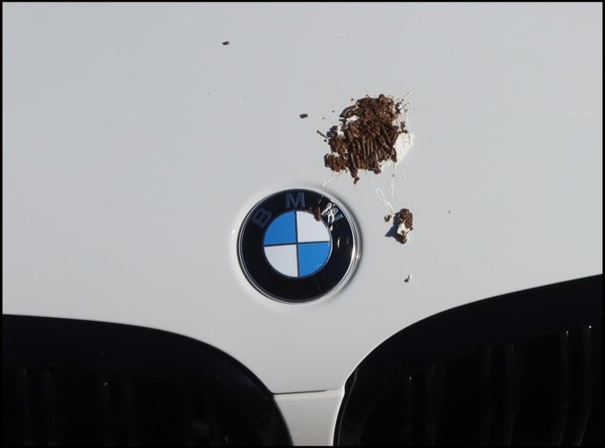 Someone doesnt like BMWs.jpg