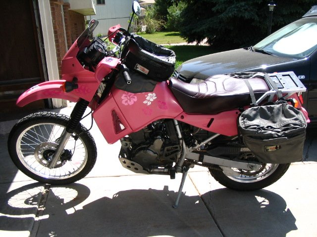pink KLR 006.jpg