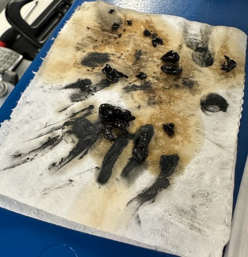 Ruddy-Final Drive Oil Chunks-2.jpg Ruddy-Final Drive Oil Chunks-2.jpg