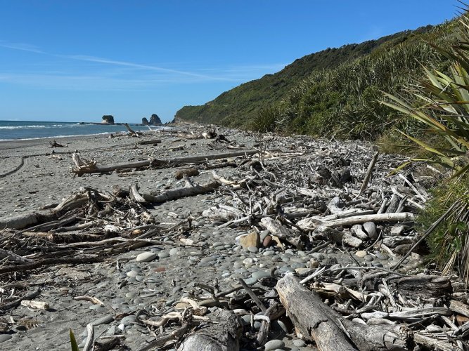 W-NZ-shoreline.jpeg