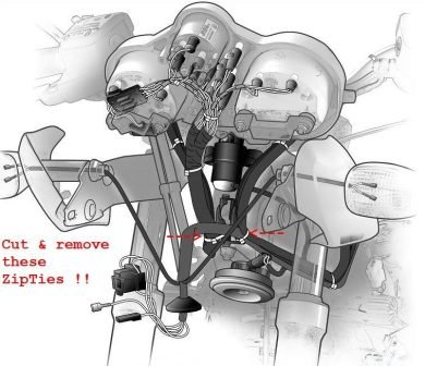 CutTheseTiesR1150R.jpg