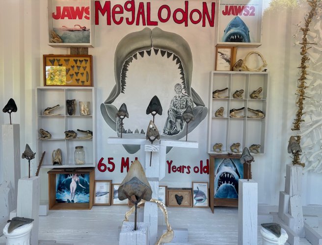 Megalodon.jpeg