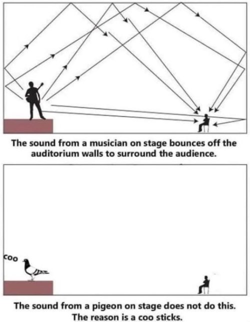 Acoustics.jpg