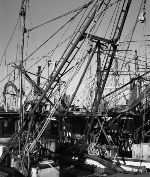Galveston Fishing Boat Rigging-1-1-7x8-GB-Oc.jpg