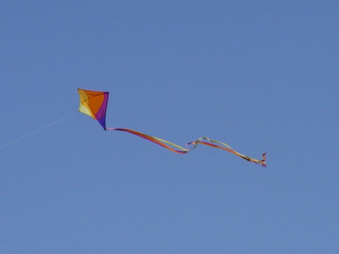 CapeKite.jpg