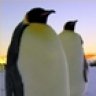 TravelingPenguins