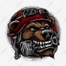 papabearckvltn