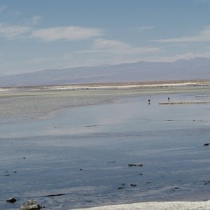 Saltlake in the Atacama desert
