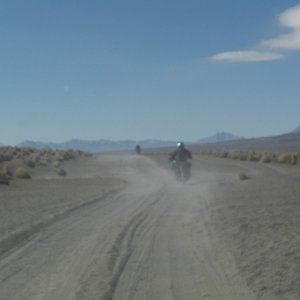 Deserttrack in the Sajama, Bolivia, Alt. 4600m