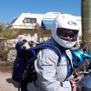 Brodie on the motorcycle