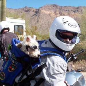 Brodie and Heather on the Motorcycle